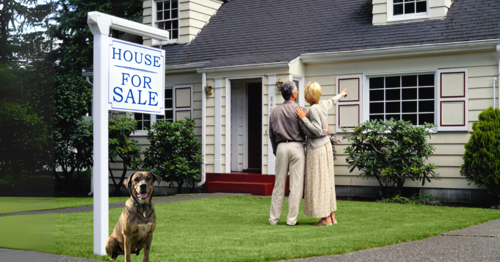Fur Babies First: How Pets Shape Home Buying Decisions in the Western Suburbs