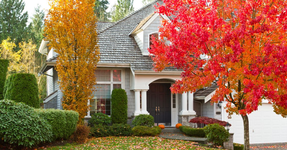 Front exterior of a Downers Grove home surrounded by vivid red and gold autumn trees, creating a warm seasonal curb appeal.